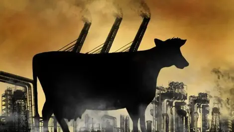 More trees and fewer cows the sign of a low-emissions economy