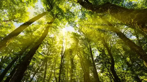 Climate change report a step in the right direction