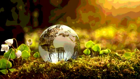 Screen shot 2018 07 13 at 4