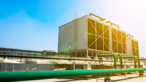 Thinkstockphotos 979650722