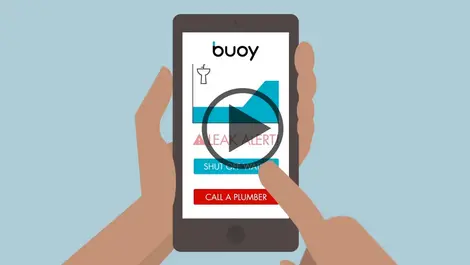 The power of mobile apps to drive bottom-up innovation