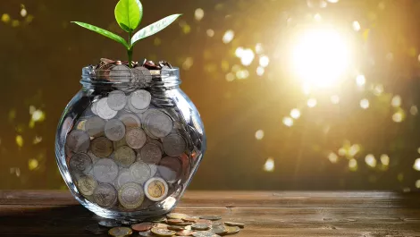 Trade Me rakes in 'record' 6.6% annual growth rate