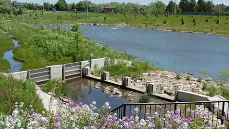 Integrating nature into urban sanitation services