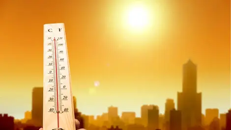 Latest climate report calls for urgent international action