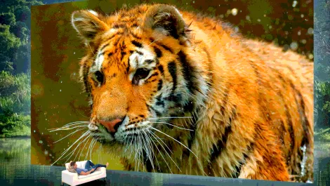 Epson's 4K PRO-UHD projector range pushes boundaries