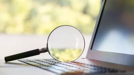 How to avoid disappointment from SEO 'cowboys'