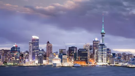Green Light opens doors to new Auckland office