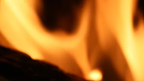 Massive WHO scam busted - 'DarkPath Scammers' group suspected