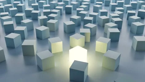 Whatsapp image 2021 08 20 at 9