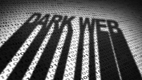 Fake donation pages promising help to Ukraine appear on Darknet