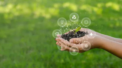 Driving the Green Software Framework with Accenture