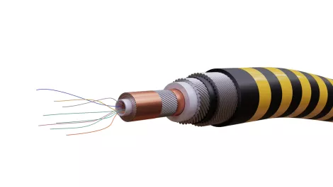 Gettyimages 1313475804