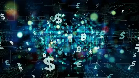 Koinly, Cointree announce crypto tax partnership