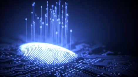 Video: 10 Minute IT Jams - An update from Incode Technologies