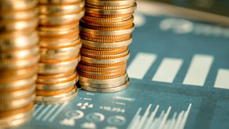 Bloated business profits make up 60% of inflation