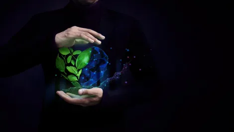 Exclusive: Greenbox offers sustainable lifecycle management