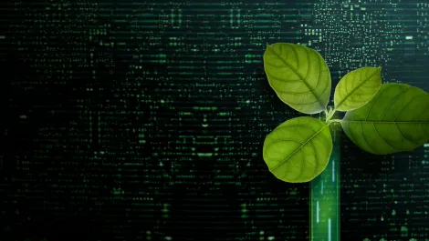 How improving data analytics can empower more sustainable businesses