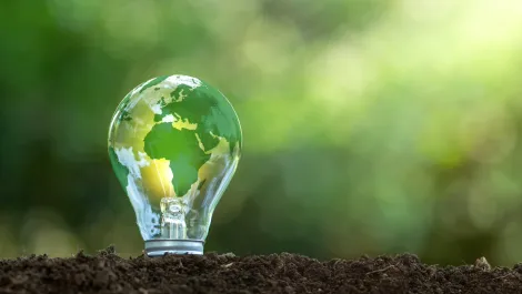ANZ needs to catch up in sustainable IT practices