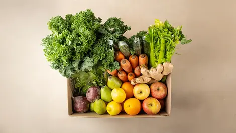 Tre'dish expands grocery range, launches price transparency app